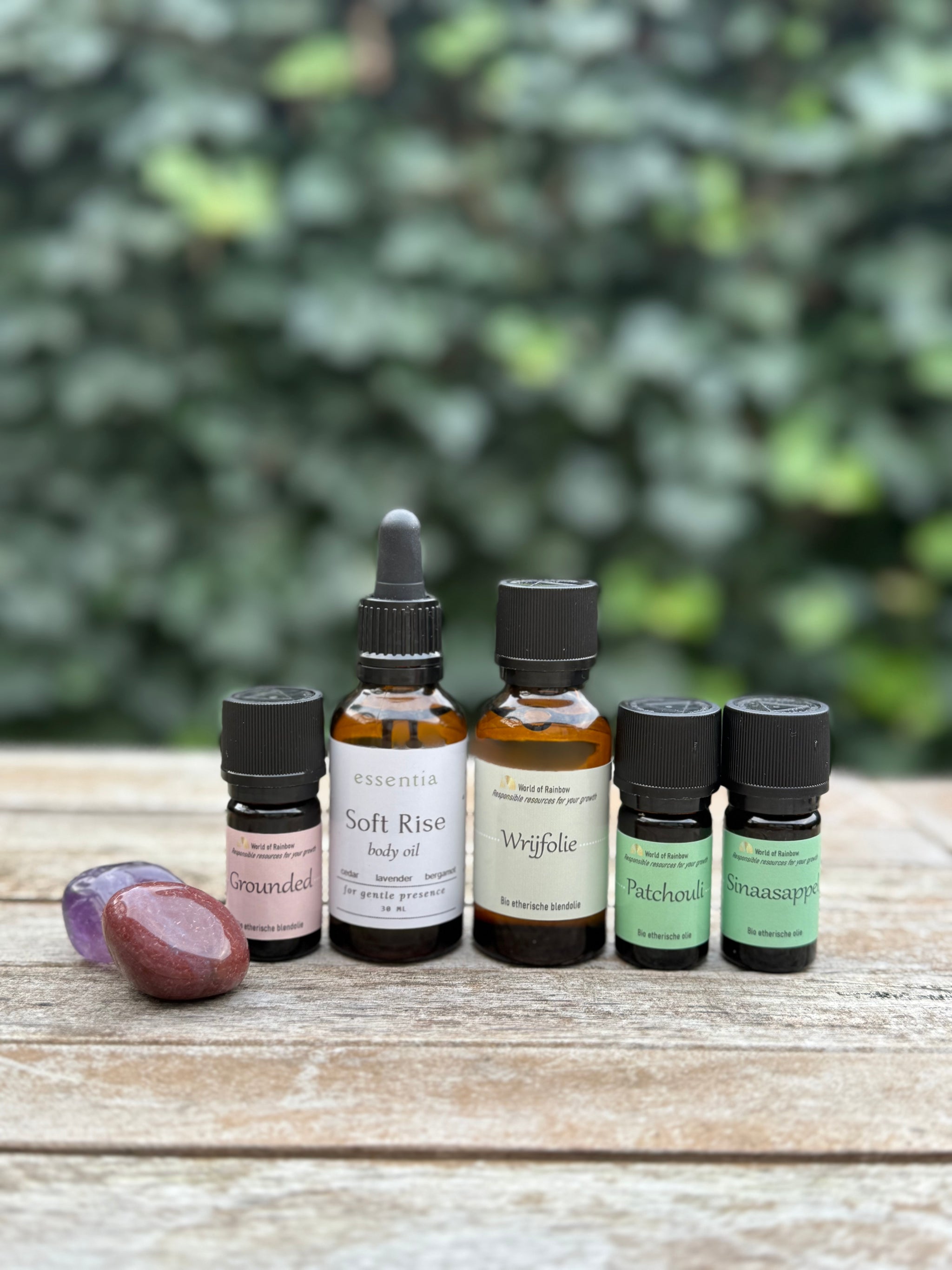 Rainbow Essentials pakket